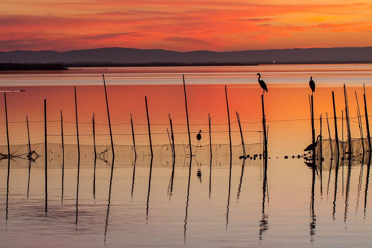 The open water and shores of Albufera lagoon south of Valencia
