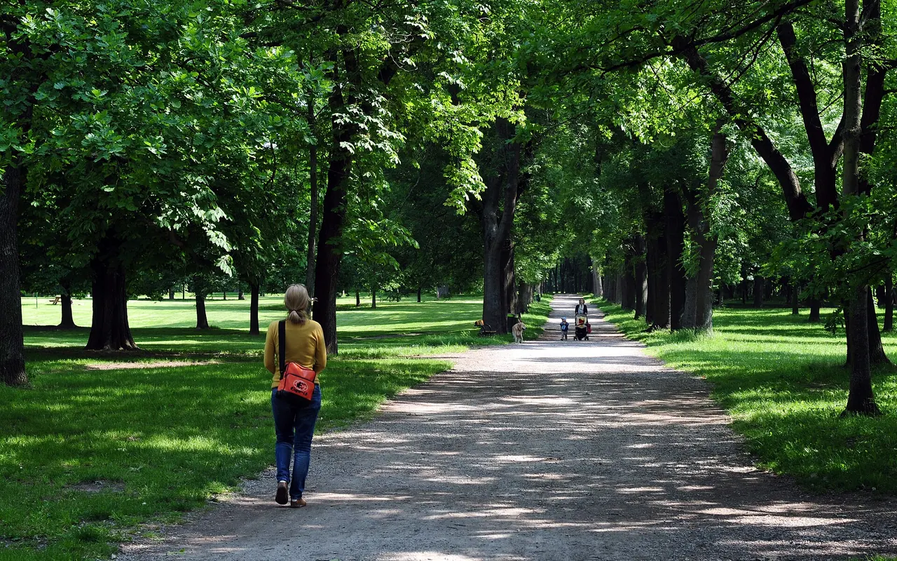 A tree-lined walking path through the green Prater park in Vienna