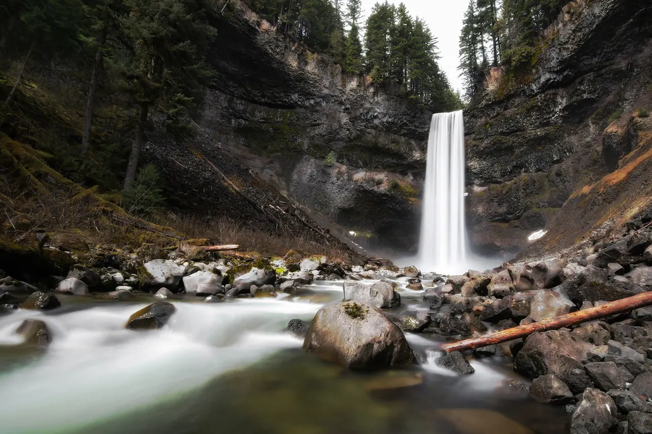 Brandywine Falls dropping into its wooded canyon near Whistler
