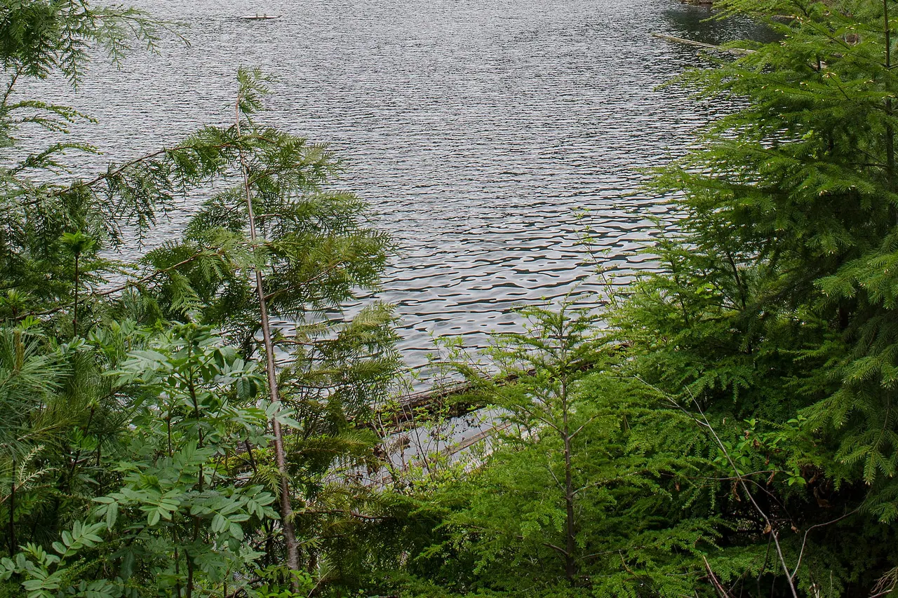 Lost Lake in Whistler's wooded valley setting