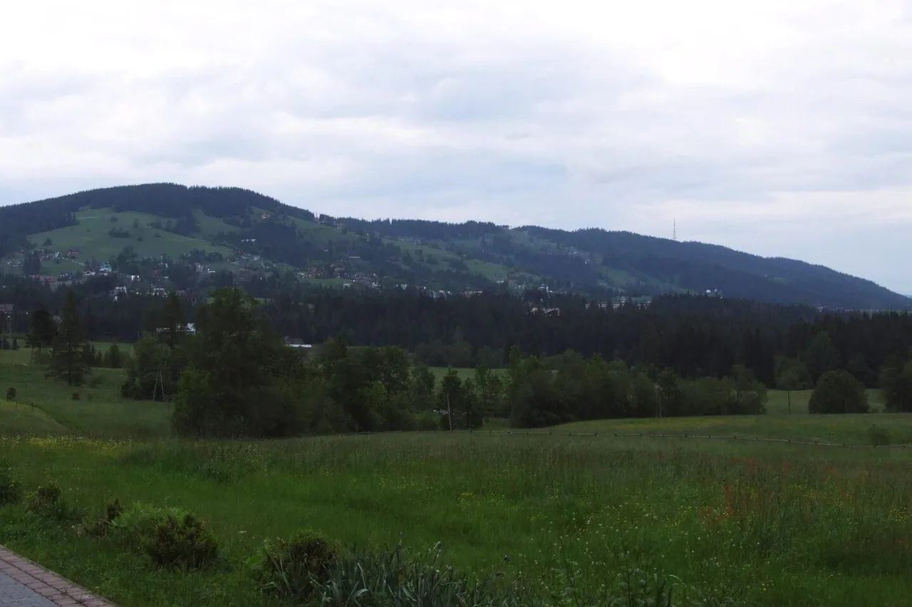 Der Bergkamm Gubalowka oberhalb von Zakopane
