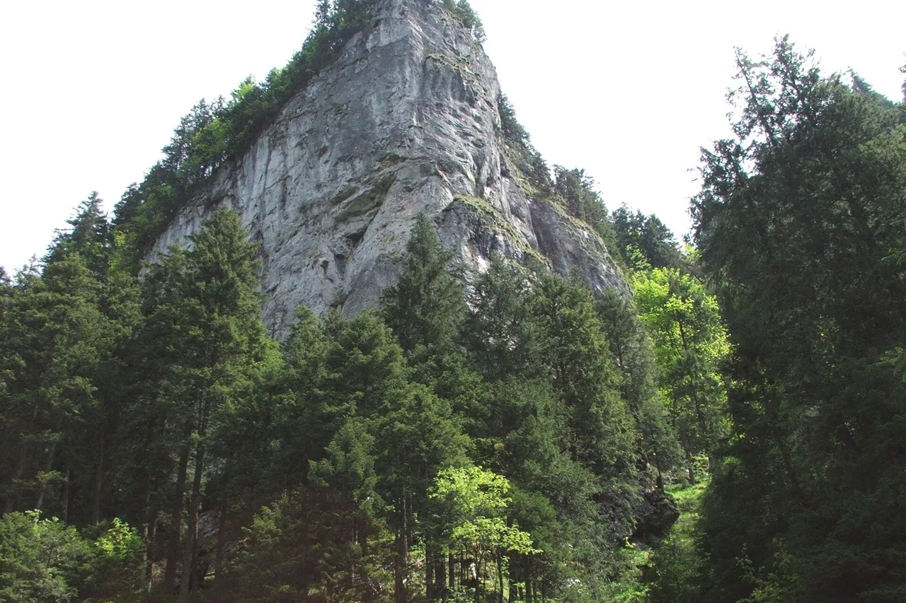 Das Koscieliska-Tal im Tatra-Nationalpark