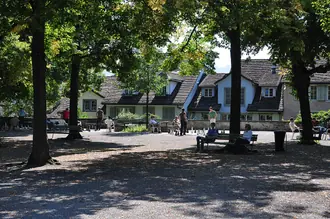 Bäume und der offene Platz auf dem Lindenhof-Hügel in Zürich